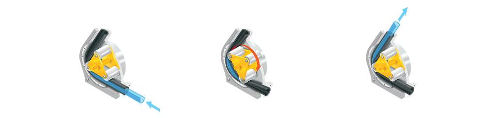 Peristaltic & hose pumps principle