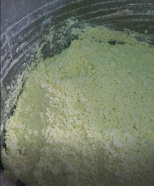 MOINEAU-PUMPS-RICOTTA