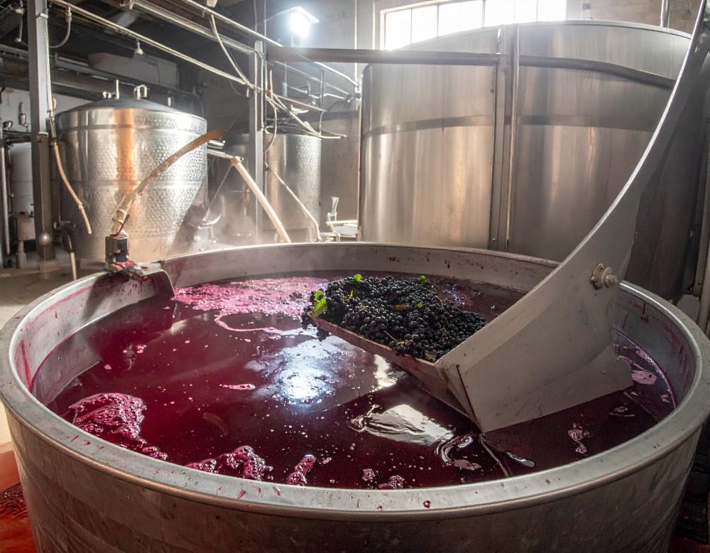 Typical applications wine, breweries 1