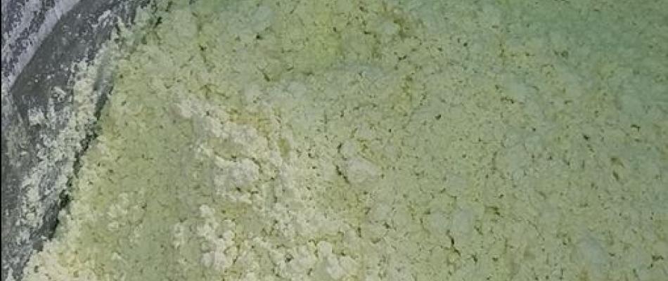 MOINEAU-PUMPS-RICOTTA