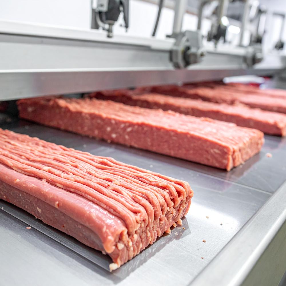 PCM APPLICATION MEAT FISH PETFOOD